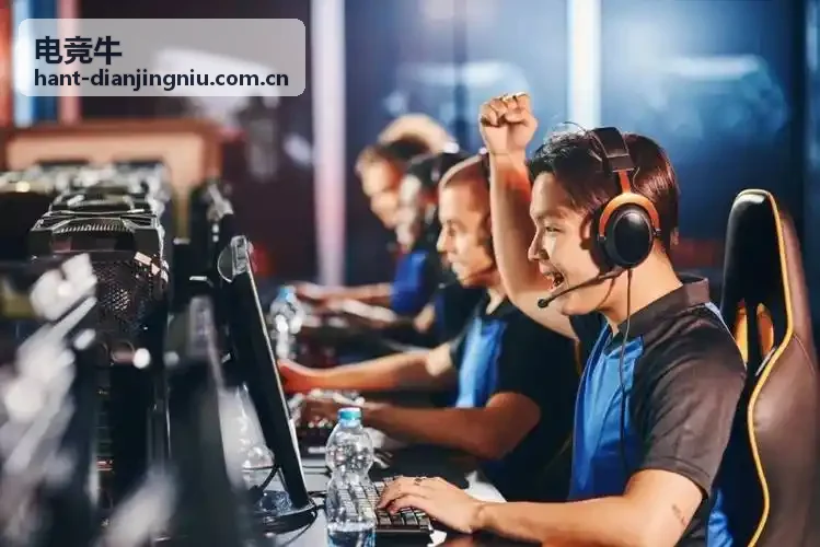 电竞牛精选专题 - 下路组合配合上限